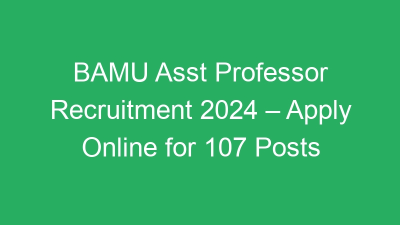 BAMU Asst Professor Recruitment 2024 – Apply Online for 107 Posts