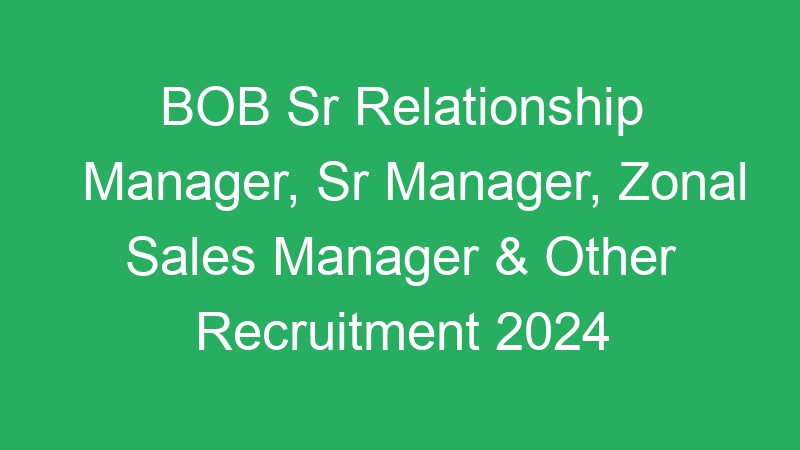 BOB Sr Relationship Manager, Sr Manager, Zonal Sales Manager & Other Recruitment 2024