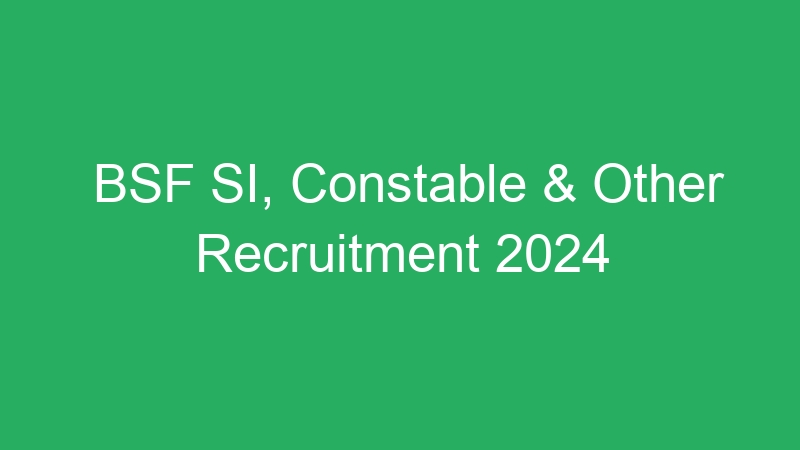 BSF SI, Constable & Other Recruitment 2024