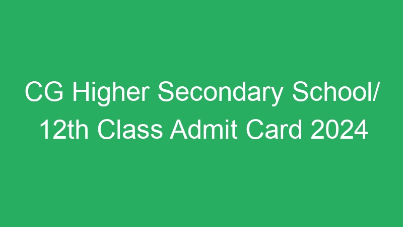 CG Higher Secondary School/ 12th Class Admit Card 2024