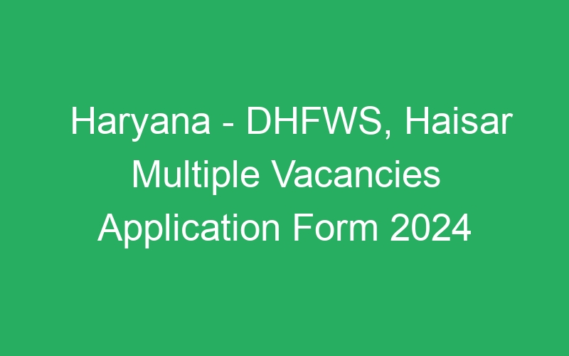 Haryana State – DHFWS, Haisar Multiple Positions Application Form 2024