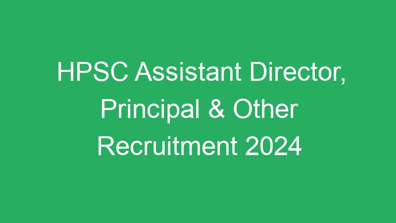 HPSC Assistant Director, Principal & Other Recruitment 2024