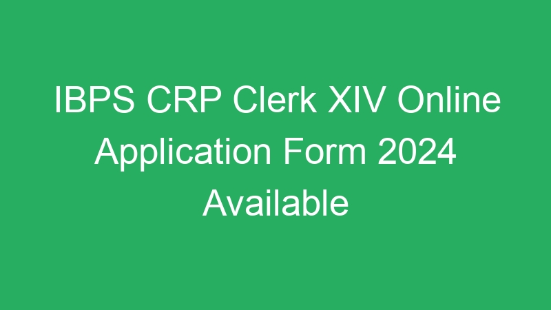 IBPS CRP Clerk XIV Preliminary Exam Call Letter Download – 6128 Posts