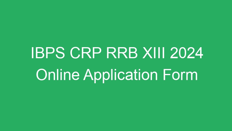 IBPS CRP RRB XIII 2024 Online Preliminary Exam Call Letter Download