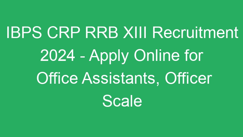 IBPS CRP RRB XIII Recruitment 2024 – Apply Online for Office Assistants, Officer Scale