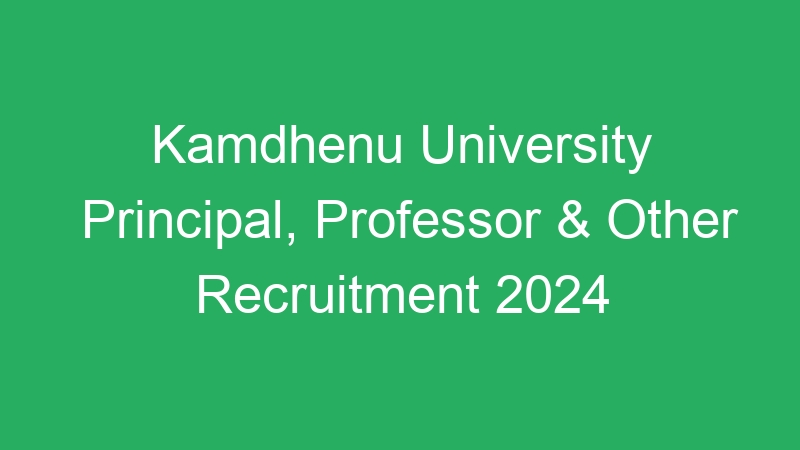 Kamdhenu University Principal, Professor & Other Recruitment 2024