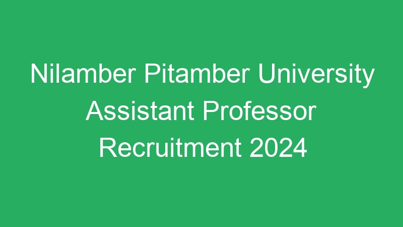 Nilamber Pitamber University Assistant Professor Recruitment 2024