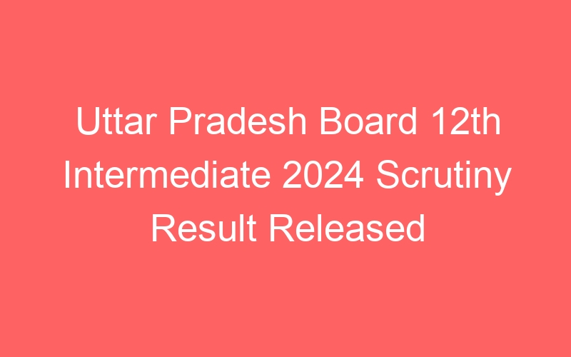 Uttar Pradesh State Board 12th Intermediate 2024 Scrutiny Result Published