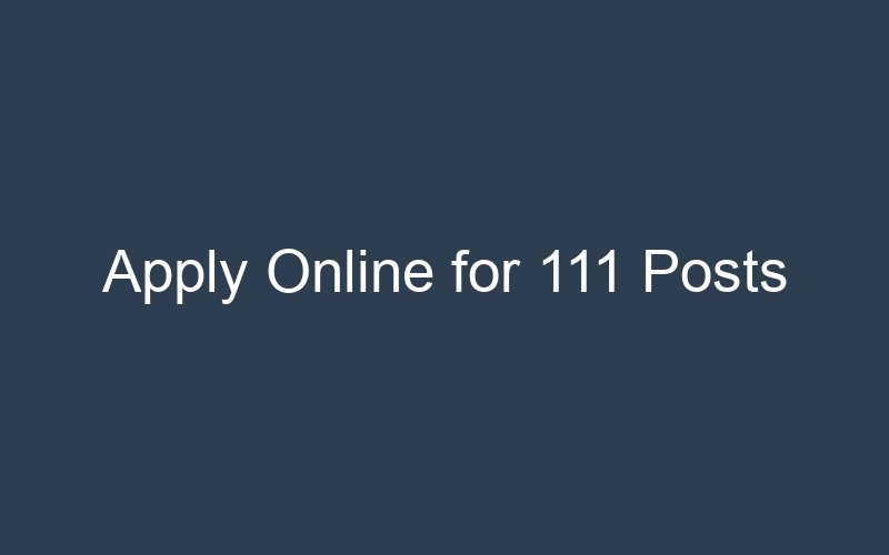 Apply Online for 111 Posts