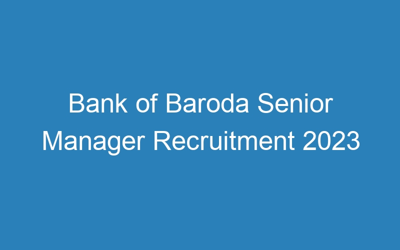 Bank of Baroda Senior Manager Recruitment 2023