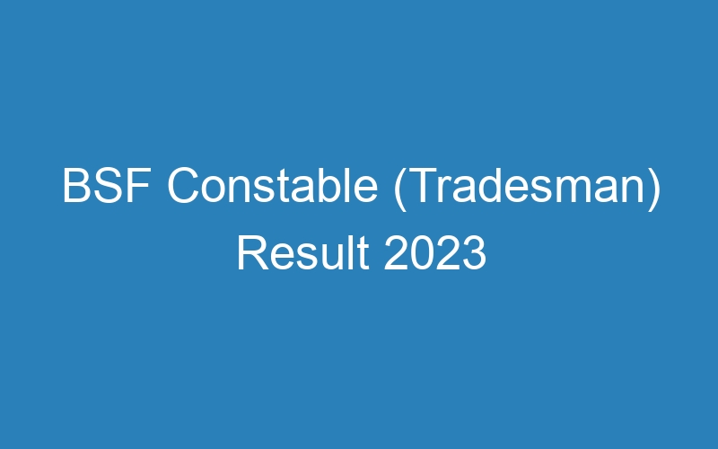 BSF Constable (Tradesman) Result 2023