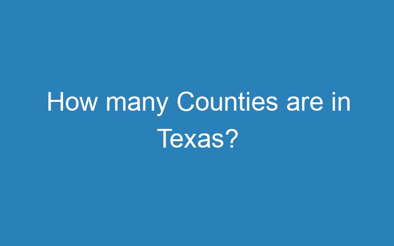 How many Counties are in Texas?