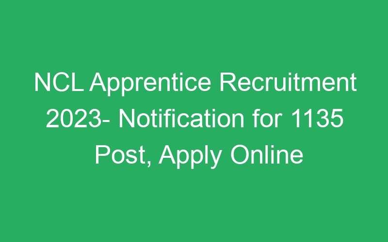 NCL Apprentice Recruitment 2023- Notification for 1135 Post, Apply Online