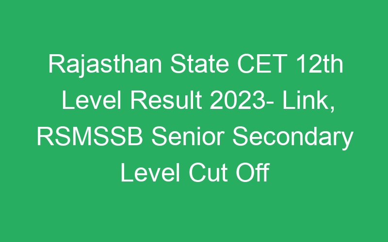 Rajasthan State CET 12th Level Result 2023- Link, RSMSSB Senior Secondary Level Cut Off