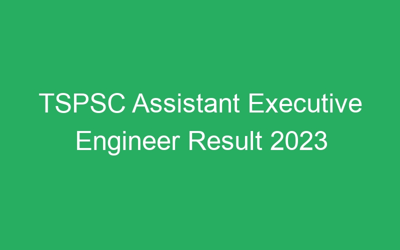 TSPSC Assistant Executive Engineer Result 2023