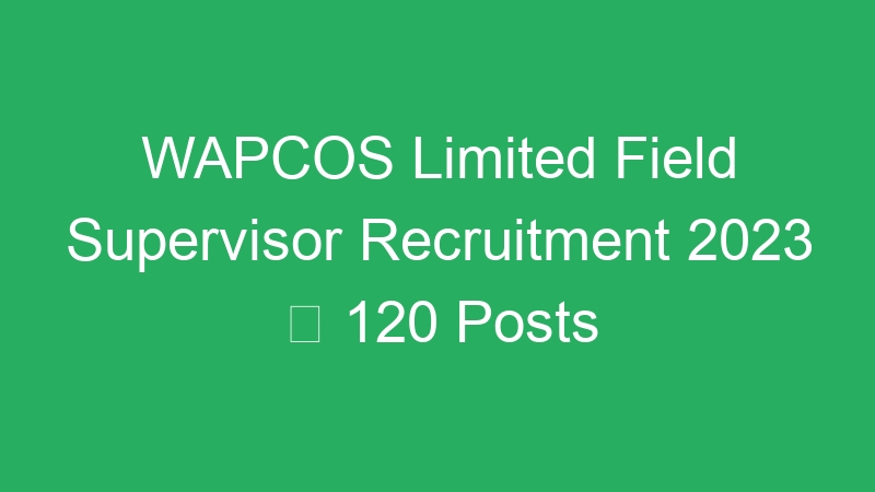 WAPCOS Limited Field Supervisor Recruitment 2023  120 Posts